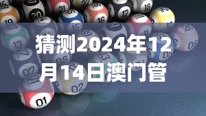 猜测2024年12月14日澳门管家婆一肖一码一中一,高速响应策略解析_挑战款1.826