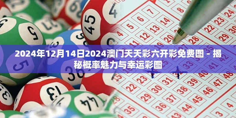 2024年12月 第121页