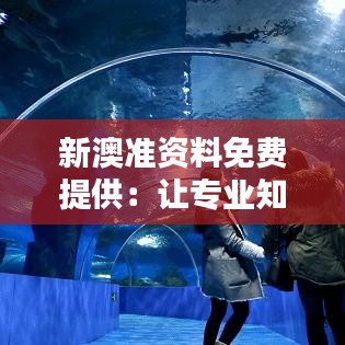 新澳准资料免费提供：让专业知识触手可及