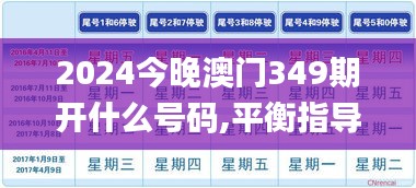 2024今晚澳门349期开什么号码,平衡指导策略_RemixOS2.473