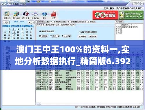 澳门王中王100%的资料一,实地分析数据执行_精简版6.392