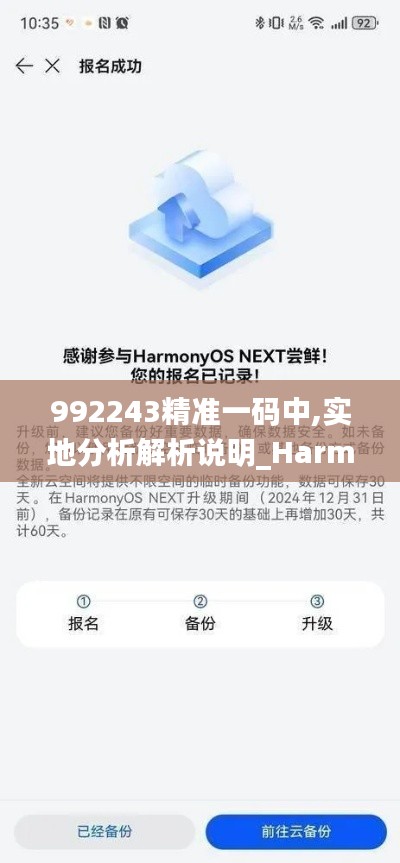 992243精准一码中,实地分析解析说明_Harmony款3.218