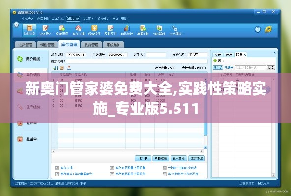 新奥门管家婆免费大全,实践性策略实施_专业版5.511