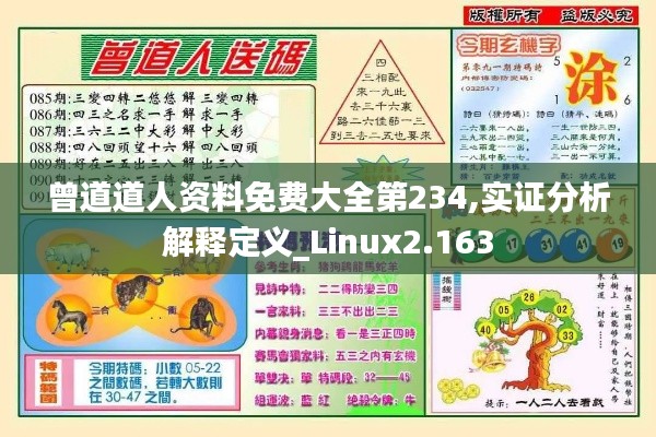 曾道道人资料免费大全第234,实证分析解释定义_Linux2.163