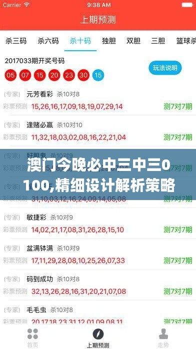 澳门今晚必中三中三0100,精细设计解析策略_手游版9.255