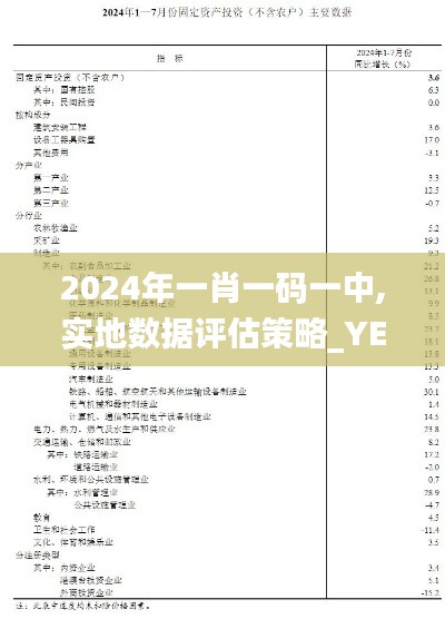 2024年一肖一码一中,实地数据评估策略_YE版1.330