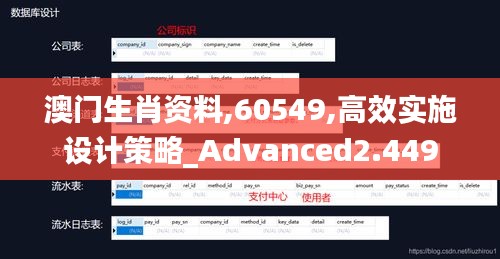 澳门生肖资料,60549,高效实施设计策略_Advanced2.449