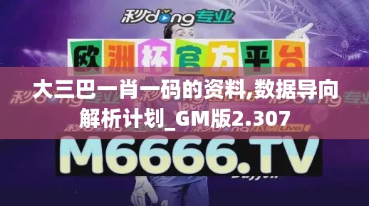 大三巴一肖一码的资料,数据导向解析计划_GM版2.307