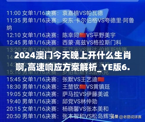 2024澳门今天晚上开什么生肖啊,高速响应方案解析_YE版6.210