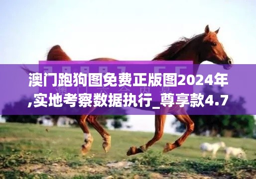 澳门跑狗图免费正版图2024年,实地考察数据执行_尊享款4.756