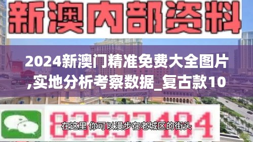 2024新澳门精准免费大全图片,实地分析考察数据_复古款10.979