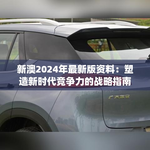 新澳2024年最新版资料：塑造新时代竞争力的战略指南