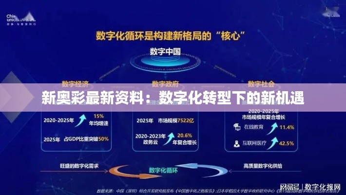 新奥彩最新资料：数字化转型下的新机遇