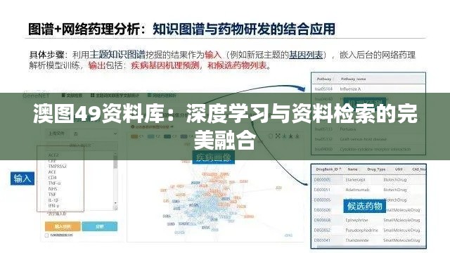 澳图49资料库：深度学习与资料检索的完美融合