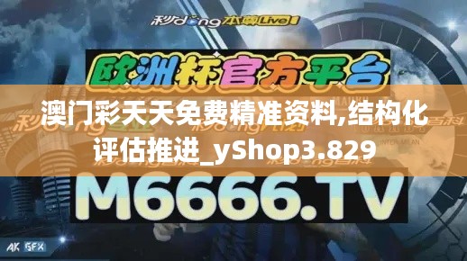 澳门彩天天免费精准资料,结构化评估推进_yShop3.829