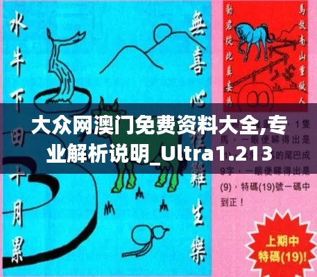 大众网澳门免费资料大全,专业解析说明_Ultra1.213