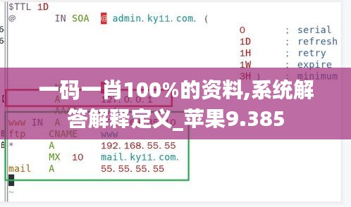 一码一肖100%的资料,系统解答解释定义_苹果9.385