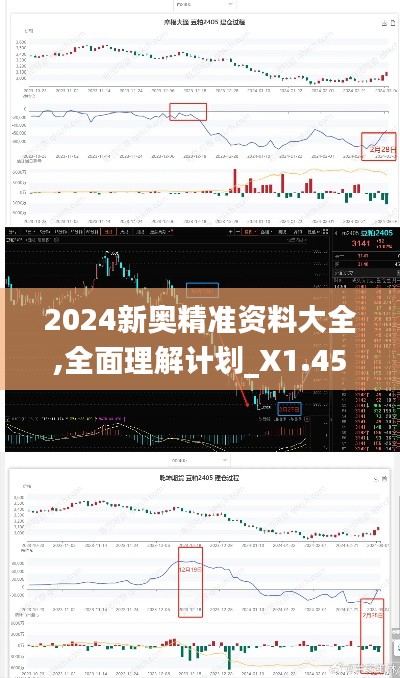 2024新奥精准资料大全,全面理解计划_X1.451