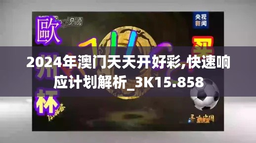 2024年澳门天天开好彩,快速响应计划解析_3K15.858