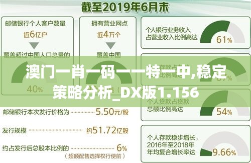 澳门一肖一码一一特一中,稳定策略分析_DX版1.156