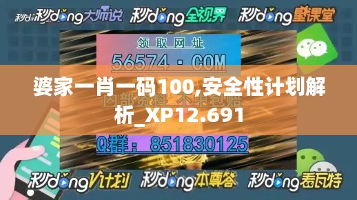 婆家一肖一码100,安全性计划解析_XP12.691