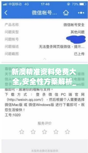 新澳精准资料免费大全,安全性方案解析_网页版9.693