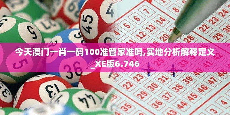 今天澳门一肖一码100准管家准吗,实地分析解释定义_XE版6.746