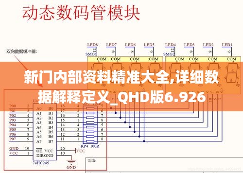 新门内部资料精准大全,详细数据解释定义_QHD版6.926