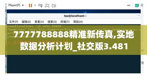 7777788888精准新传真,实地数据分析计划_社交版3.481