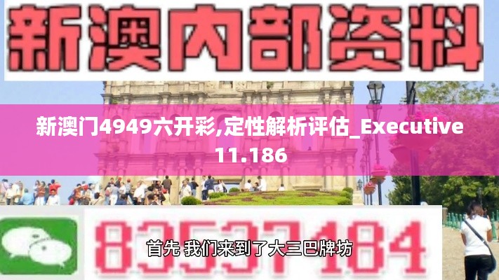 新澳门4949六开彩,定性解析评估_Executive11.186