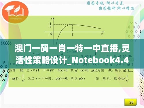 澳门一码一肖一特一中直播,灵活性策略设计_Notebook4.461