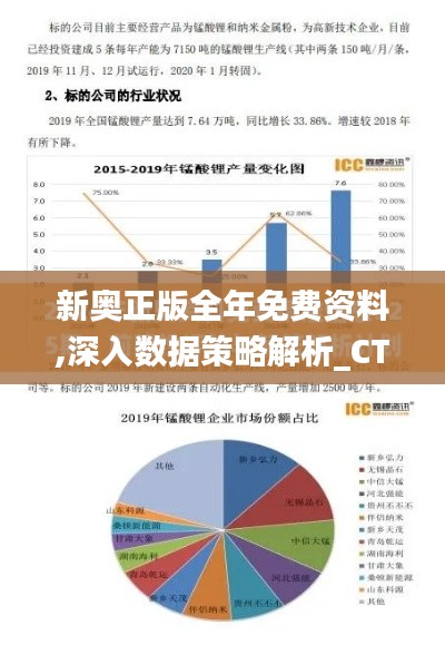 新奥正版全年免费资料,深入数据策略解析_CT6.695