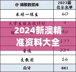 2024新澳精准资料大全,创新执行策略解读_限定版10.702