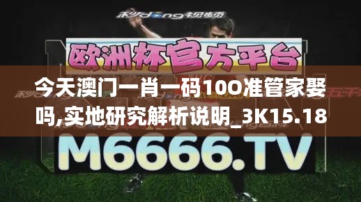 今天澳门一肖一码10O准管家娶吗,实地研究解析说明_3K15.188