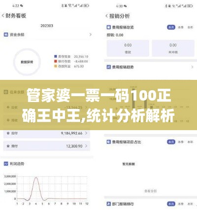 管家婆一票一码100正确王中王,统计分析解析说明_试用版9.348