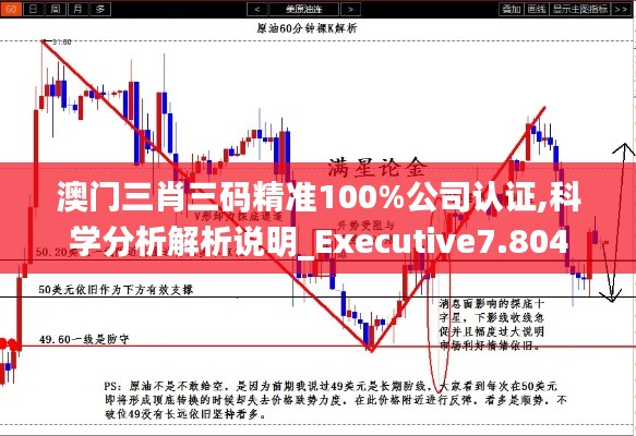 澳门三肖三码精准100%公司认证,科学分析解析说明_Executive7.804