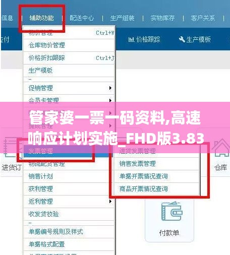 管家婆一票一码资料,高速响应计划实施_FHD版3.835