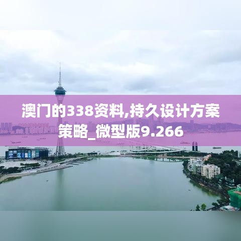 澳门的338资料,持久设计方案策略_微型版9.266