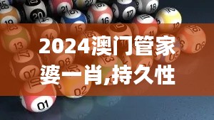 2024澳门管家婆一肖,持久性执行策略_安卓版3.333