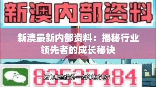 新澳最新内部资料：揭秘行业领先者的成长秘诀