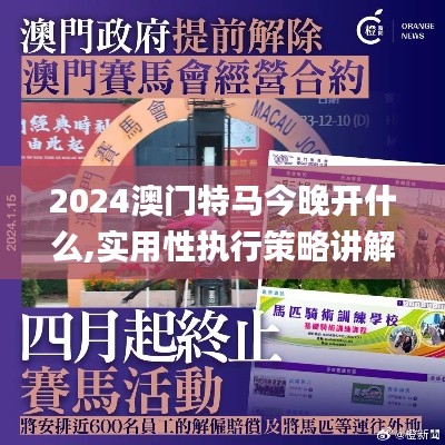 2024澳门特马今晚开什么,实用性执行策略讲解_QHD版3.821