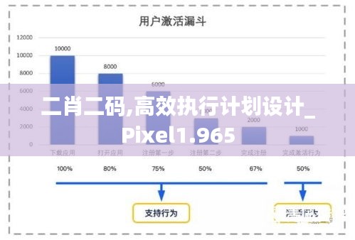 二肖二码,高效执行计划设计_Pixel1.965