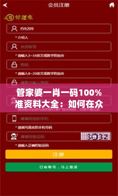 管家婆一肖一码100%准资料大全：如何在众多资料中找到最精准的信息