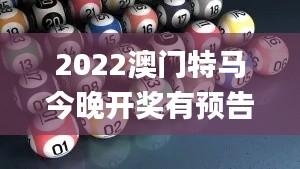 2022澳门特马今晚开奖有预告吗,有效解答解释落实_精简版3.934