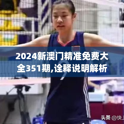 2024新澳门精准免费大全351期,诠释说明解析_顶级款5.245