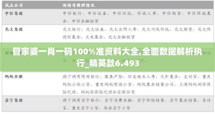 管家婆一肖一码100%准资料大全,全面数据解析执行_精英款6.493