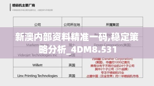 新澳内部资料精准一码,稳定策略分析_4DM8.531