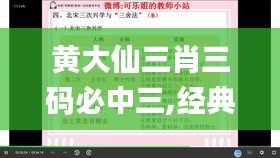 黄大仙三肖三码必中三,经典解析说明_运动版4.251