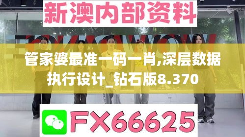 管家婆最准一码一肖,深层数据执行设计_钻石版8.370