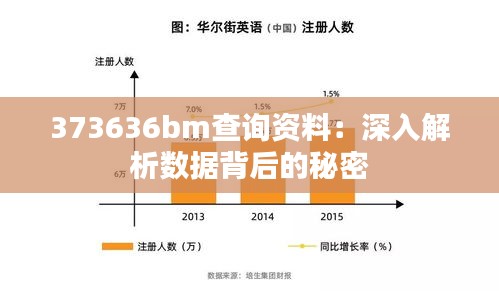 373636bm查询资料：深入解析数据背后的秘密